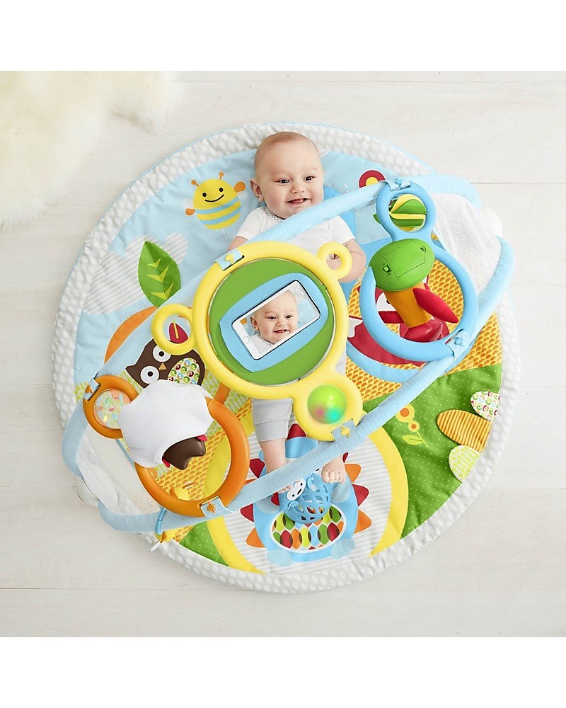 skip hop explore and more activity gym
